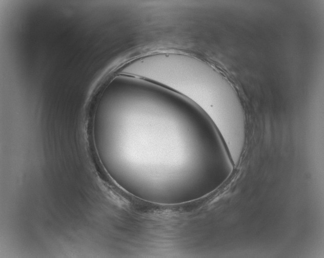 X0000069830197200605190951