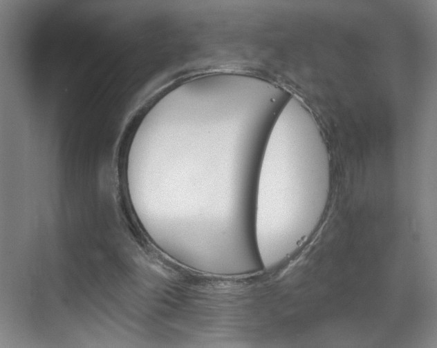 X0000069830198200605190950