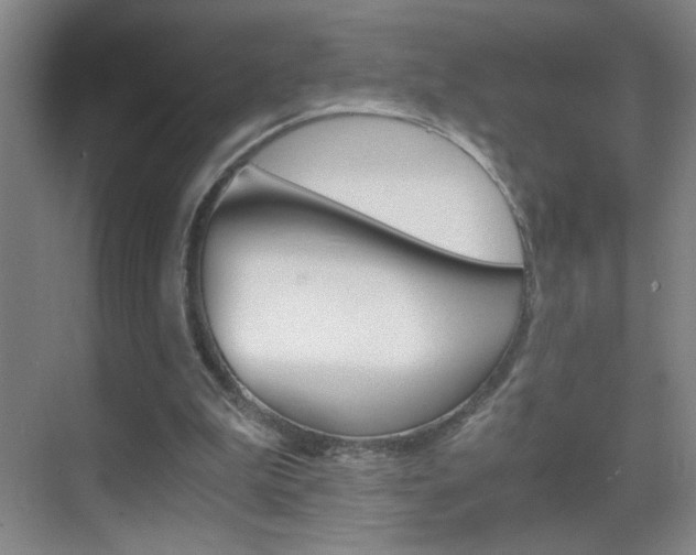 X0000069830199200605190950