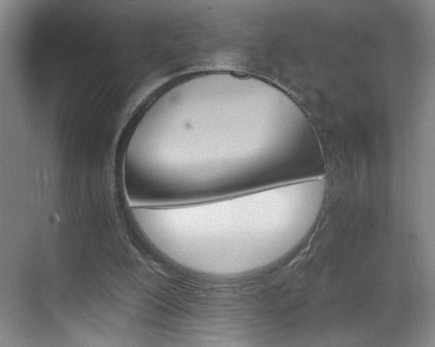 X0000069830200200605190950