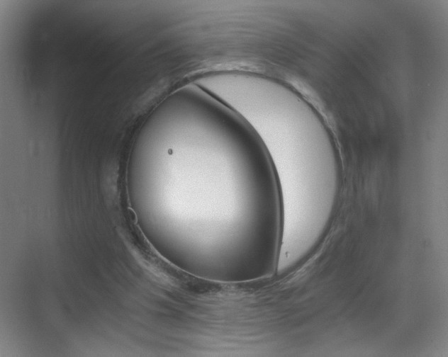 X0000069830201200605190950