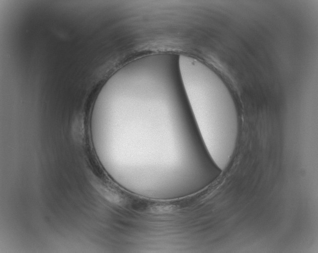 X0000069830202200605190950