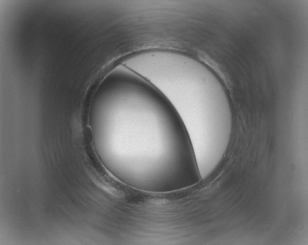 X0000069830203200605190950