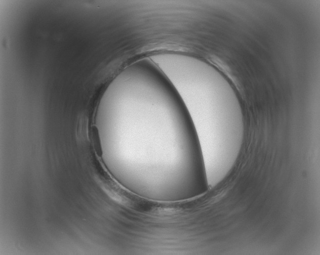 X0000069830205200605190950