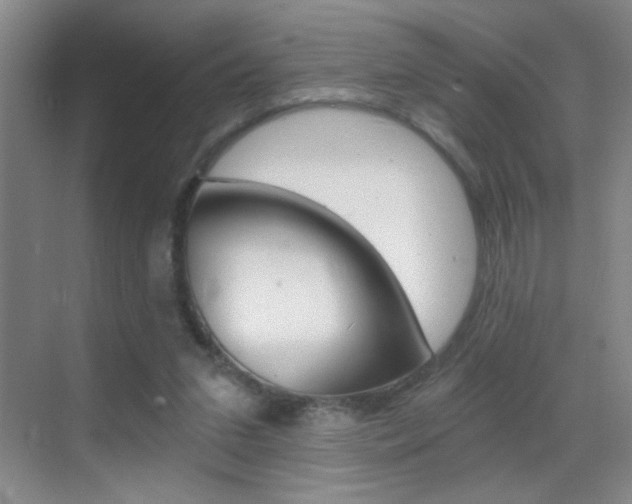 X0000069830207200605190950