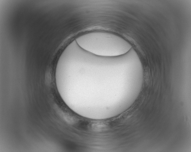 X0000069830208200605190950