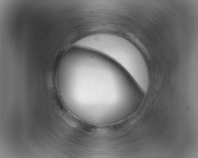 X0000069830209200605190950