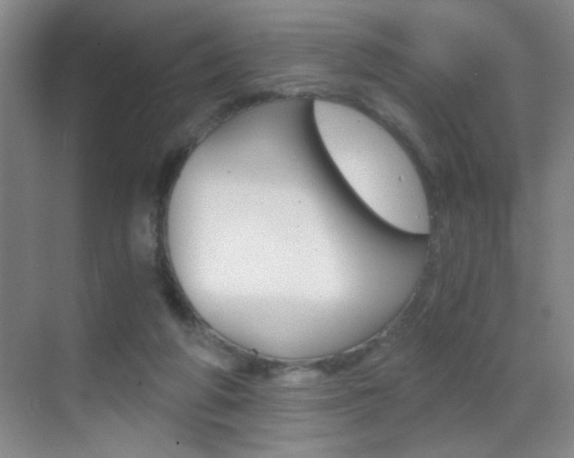 X0000069830210200605190950