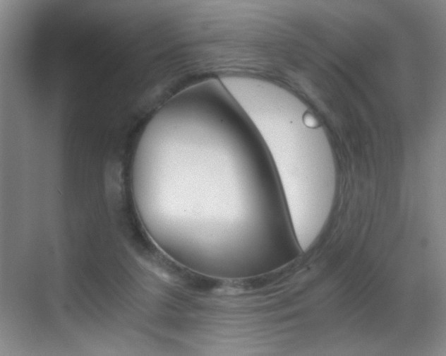 X0000069830211200605190950