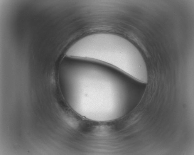 X0000069830212200605190950