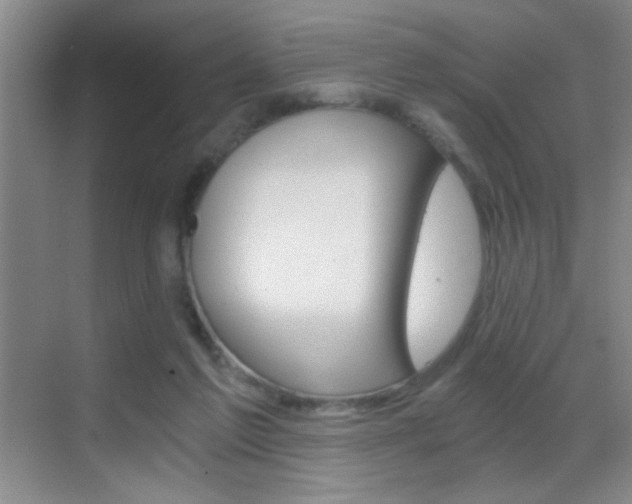 X0000069830213200605190950