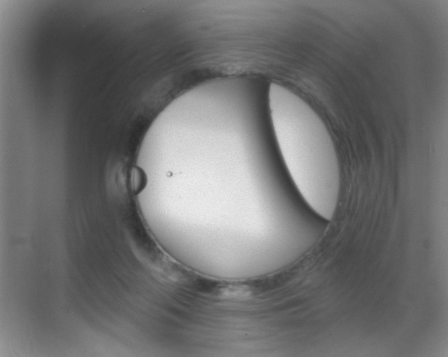 X0000069830214200605190950