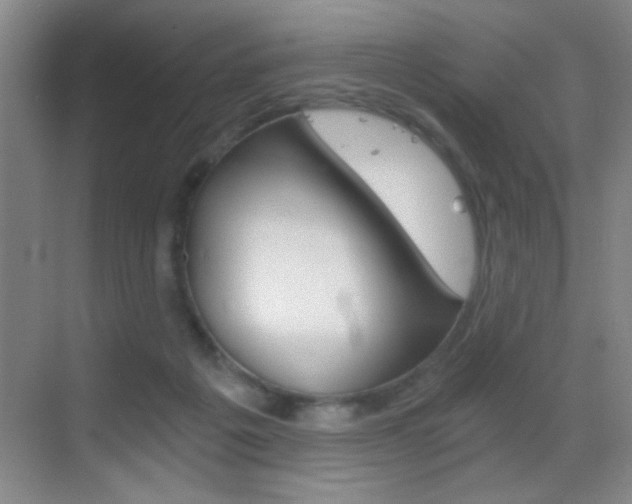 X0000069830217200605190950