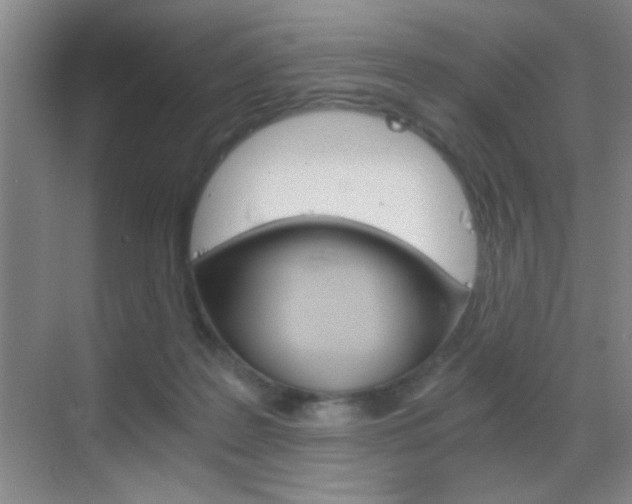 X0000069830219200605190950