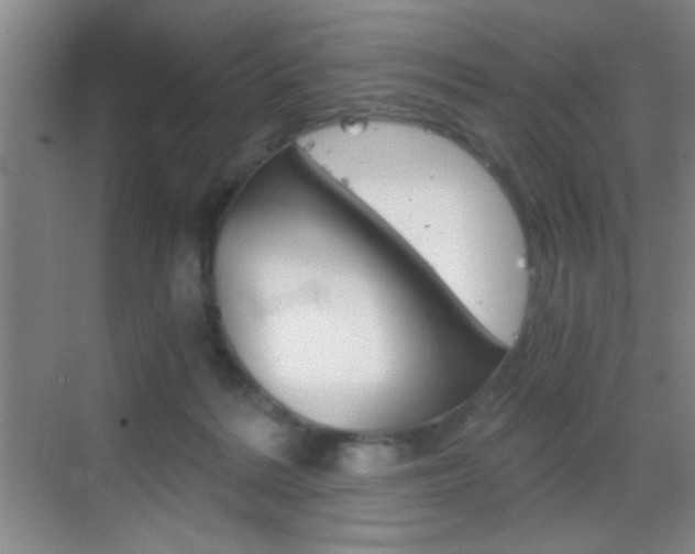 X0000069830220200605190950