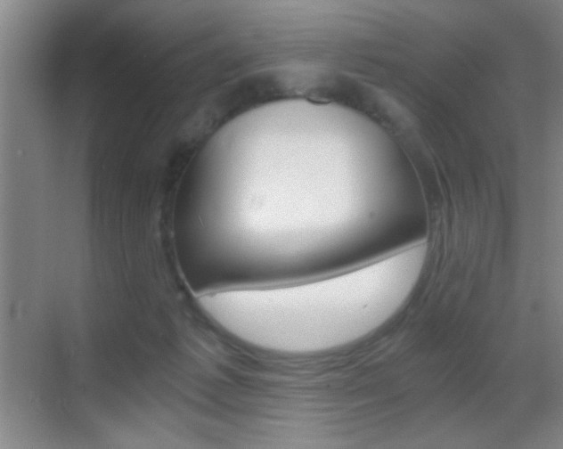 X0000069830221200605190950