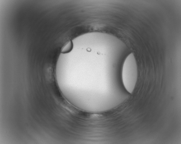 X0000069830222200605190950