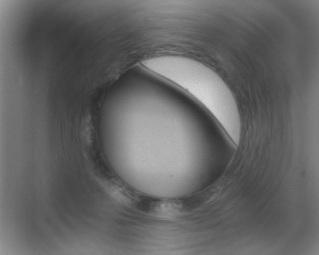 X0000069830223200605190950