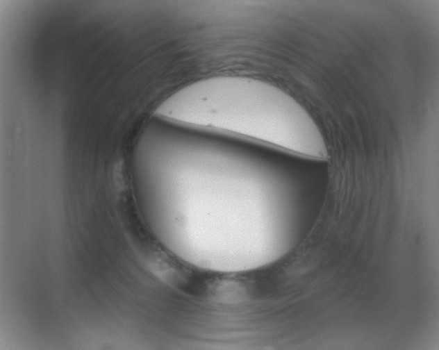 X0000069830224200605190950