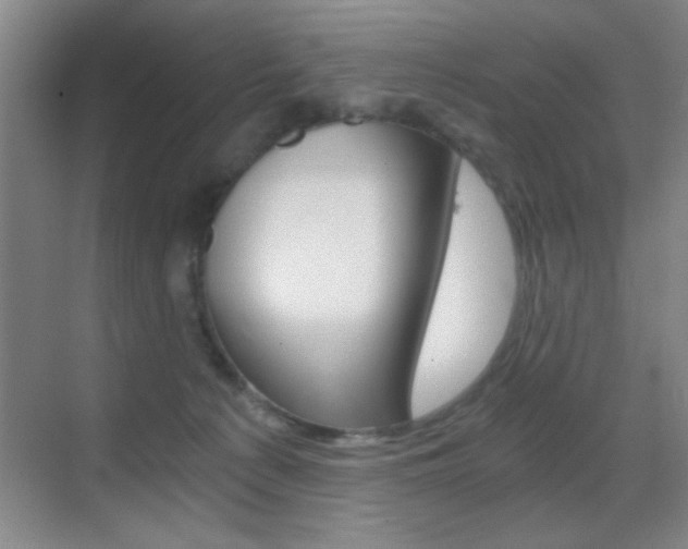 X0000069830225200605190950