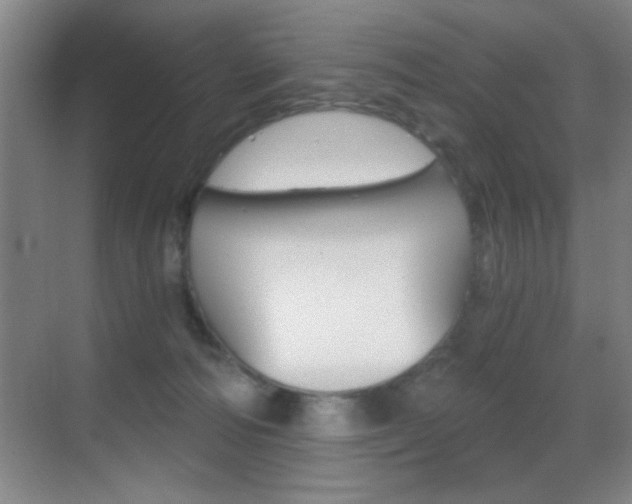 X0000069830226200605190950