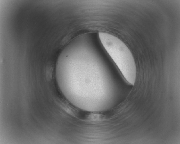 X0000069830227200605190950