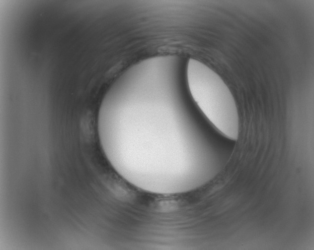 X0000069830228200605190950