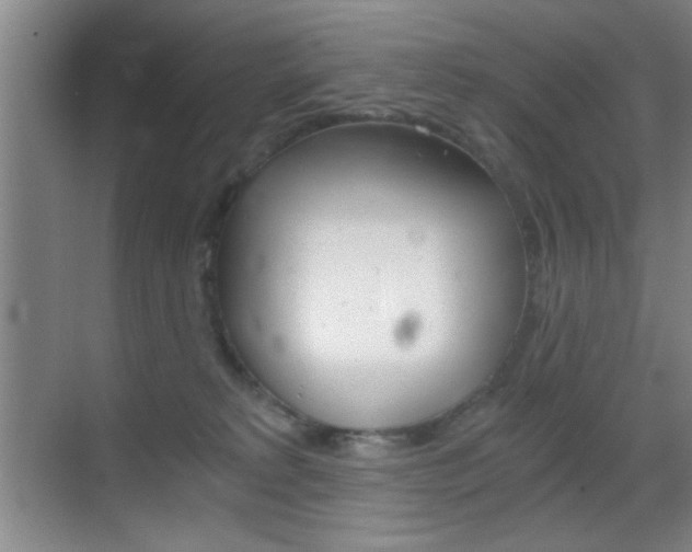 X0000069830229200605190950