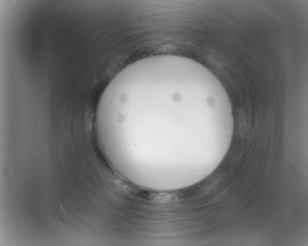 X0000069830230200605190950