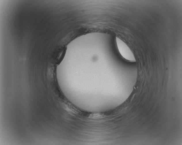 X0000069830231200605190950