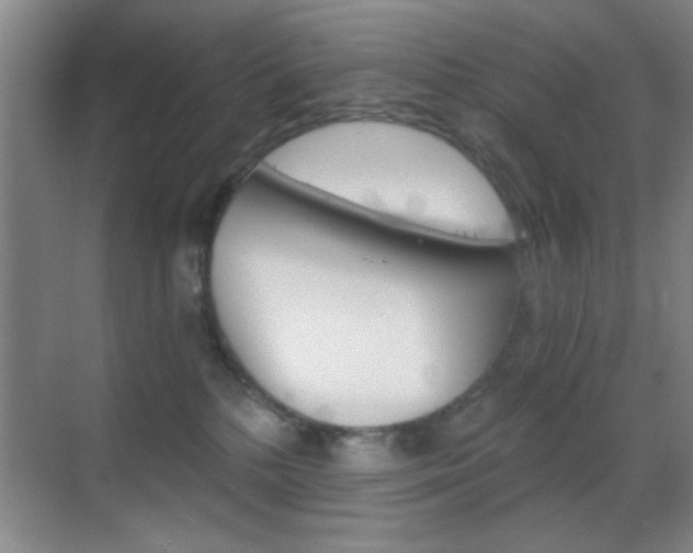 X0000069830232200605190950