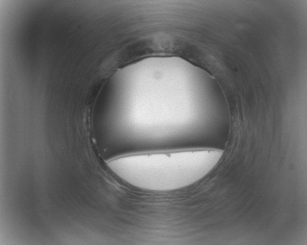 X0000069830233200605190950