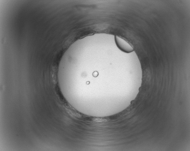 X0000069830234200605190950