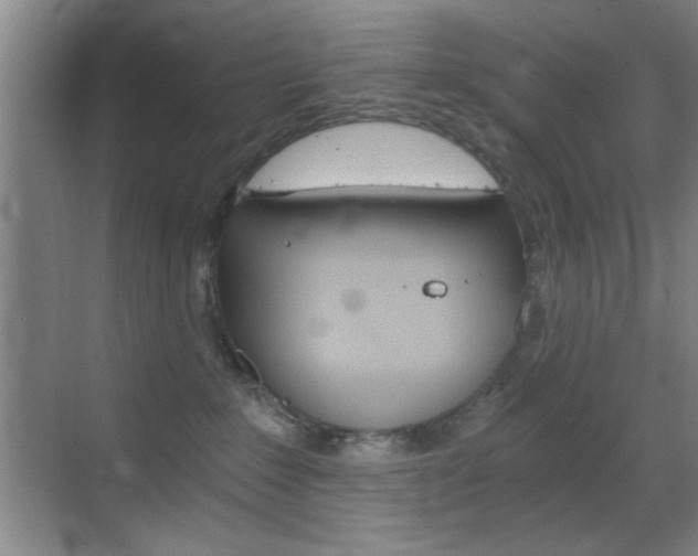 X0000069830235200605190950