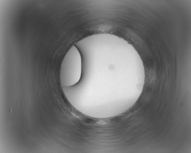 X0000069830236200605190950