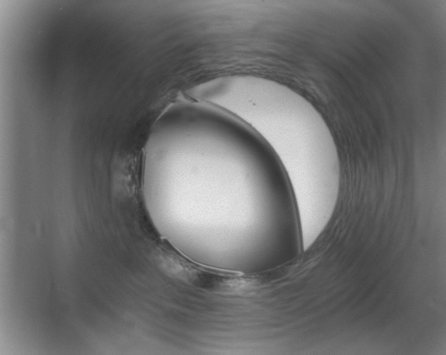 X0000069830237200605190950