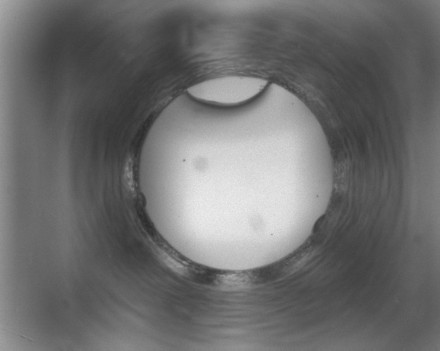 X0000069830238200605190950