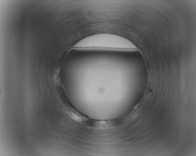 X0000069830239200605190950