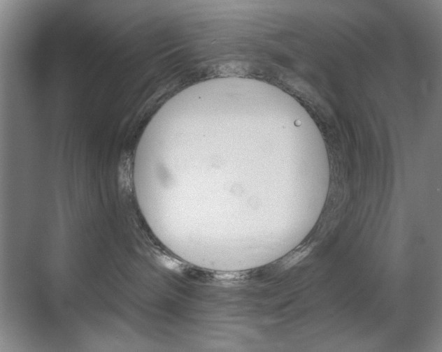 X0000069830240200605190950