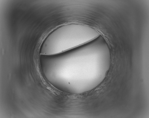 X0000069830241200605190949