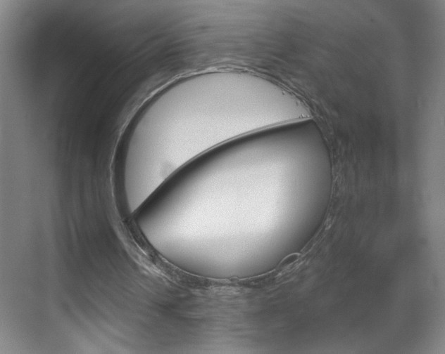 X0000069830242200605190949