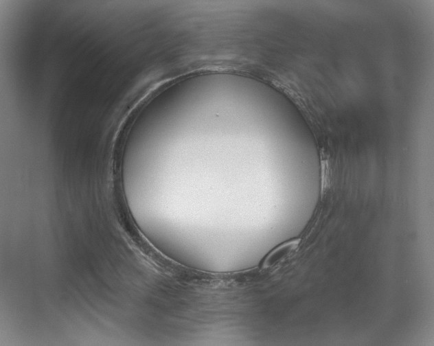 X0000069830243200605190949