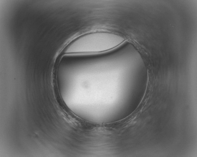 X0000069830244200605190949