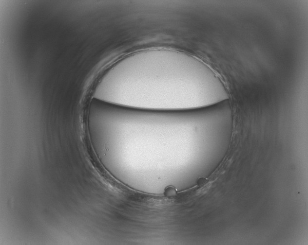 X0000069830245200605190949