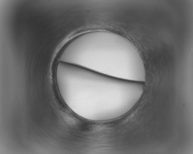 X0000069830246200605190949