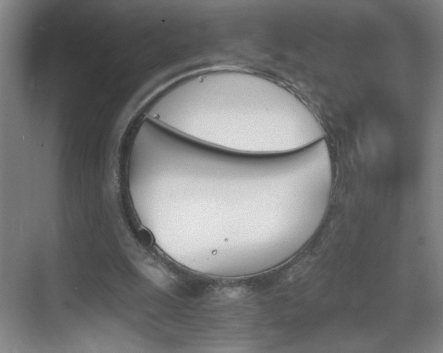 X0000069830247200605190949