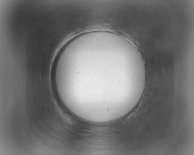 X0000069830248200605190949