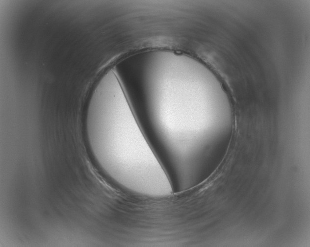 X0000069830249200605190949