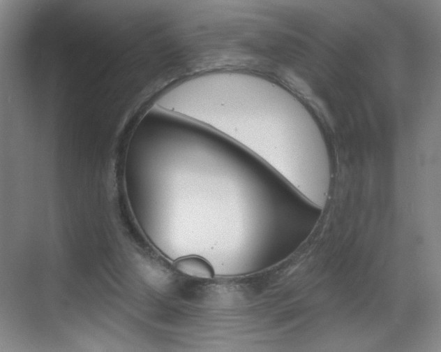 X0000069830250200605190949