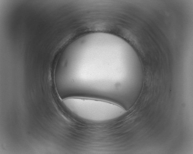 X0000069830251200605190949